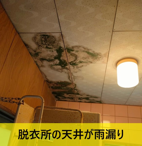 熊本市東区で脱衣所天井が雨漏りし瓦屋根の現地調査を行ったY様の声